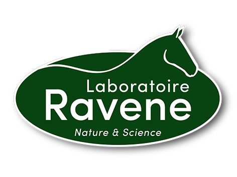 logo partenaires