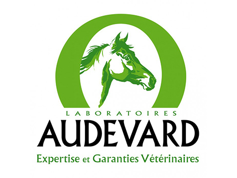 logo partenaires