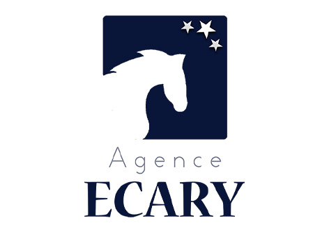 logo partenaires