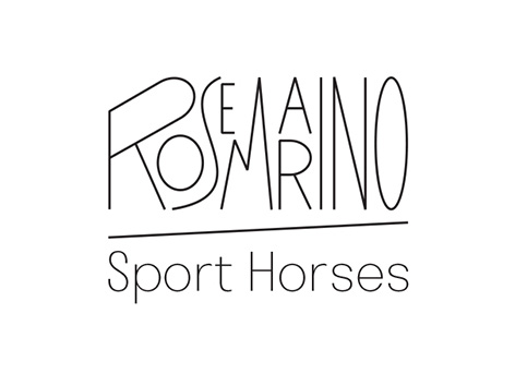 logo partenaires