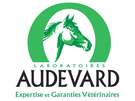 logo partenaires