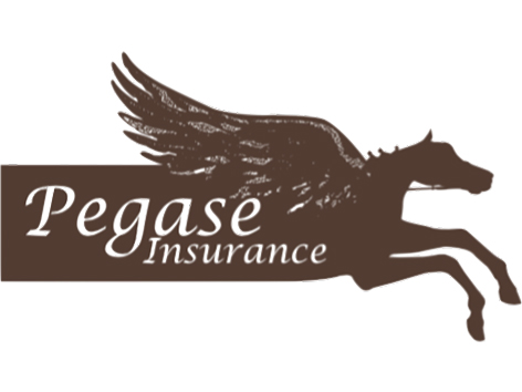 logo partenaires