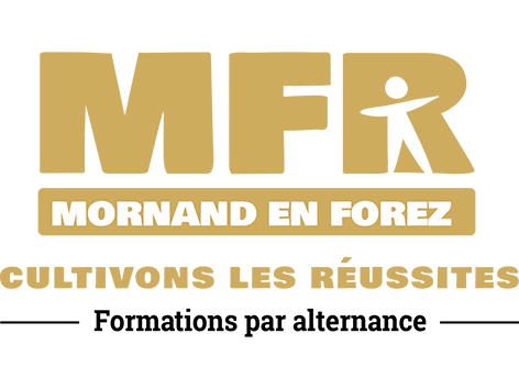 logo partenaires