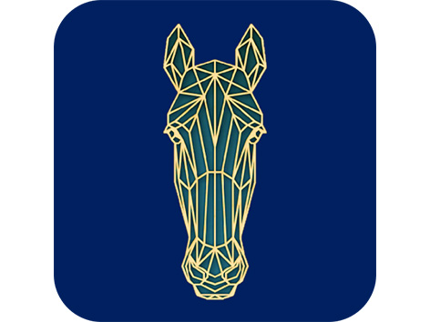 logo partenaires